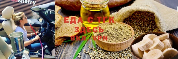 индика Алексин