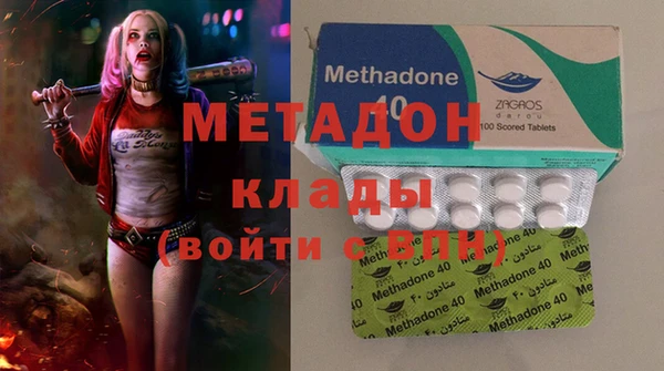 индика Алексин