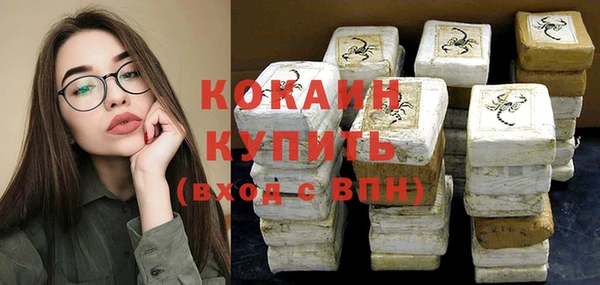 индика Алексин