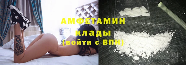индика Алексин