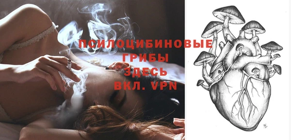Альфа ПВП Алзамай
